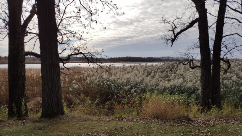 Yahara Heights County Park - Waunakee, WI