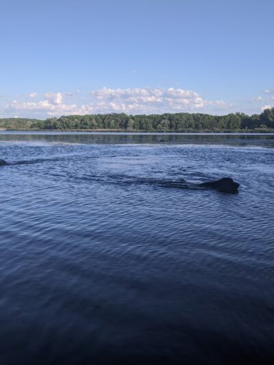 Yahara Heights County Park - Waunakee, WI