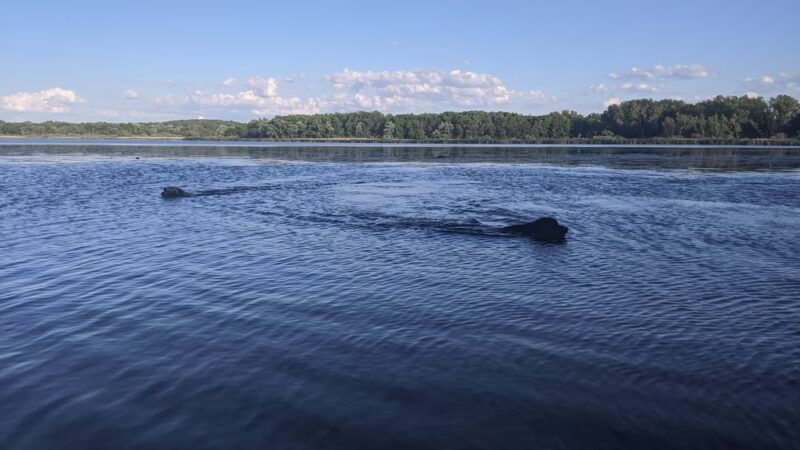 Yahara Heights County Park - Waunakee, WI