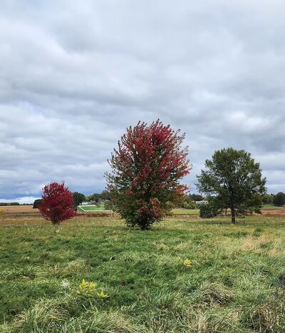 Yahara Heights County Park - Waunakee, WI