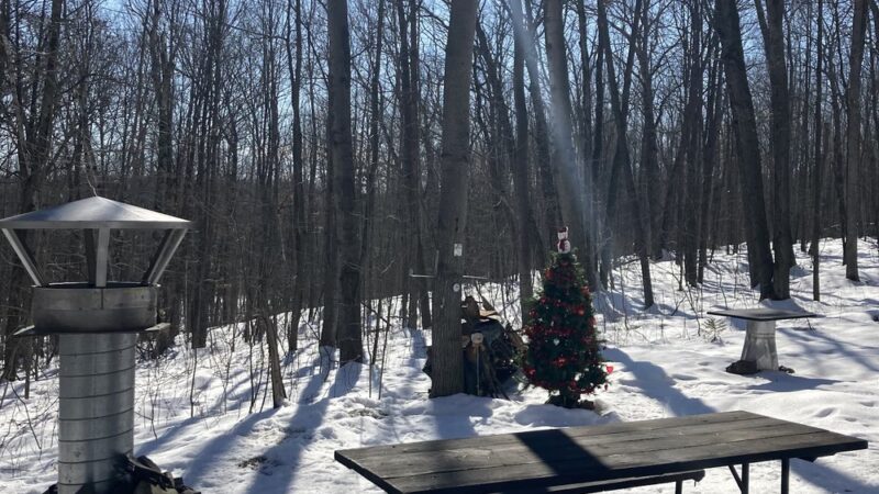 Brokaw County Park - Wausau, WI