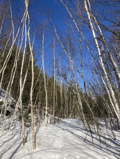 Brokaw County Park - Wausau, WI