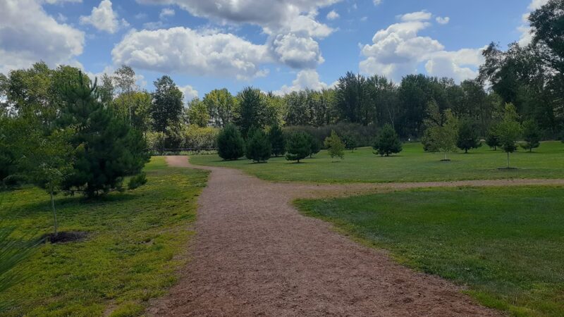 Sandy's Bark Park - Wausau, WI