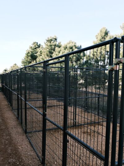 Field Haven Kennels - Waverly, MN