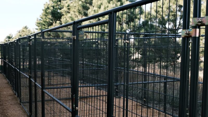 Field Haven Kennels - Waverly, MN