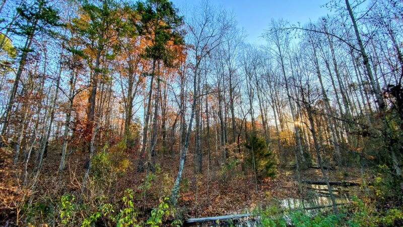 Dogwood Park at Wesley Chapel - Waxhaw, NC
