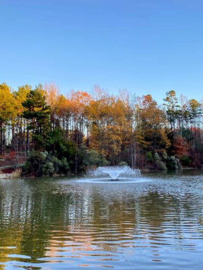Dogwood Park at Wesley Chapel - Waxhaw, NC