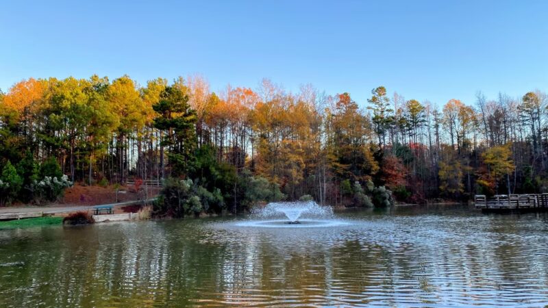 Dogwood Park at Wesley Chapel - Waxhaw, NC
