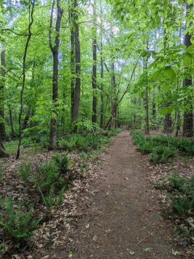 Mineral Springs Greenway (Trails) - Waxhaw, NC
