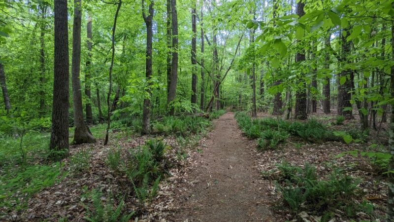 Mineral Springs Greenway (Trails) - Waxhaw, NC