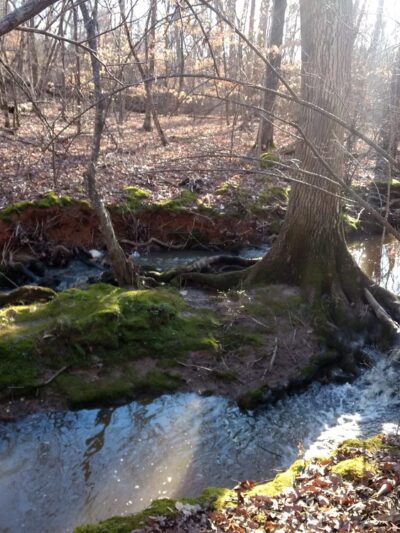 Mineral Springs Greenway (Trails) - Waxhaw, NC