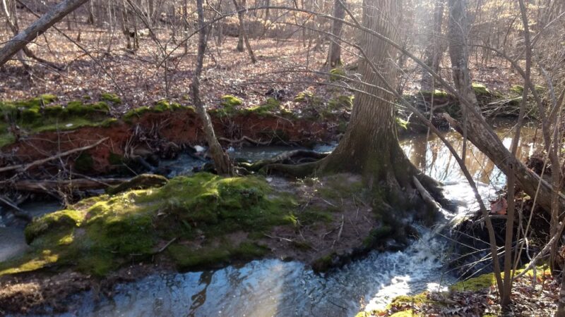 Mineral Springs Greenway (Trails) - Waxhaw, NC