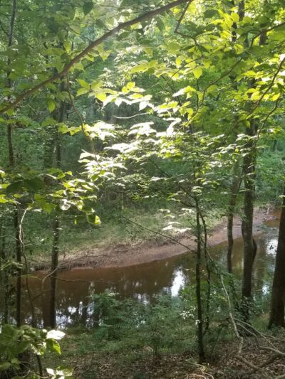 Twelve Mile Creek Greenway - Town Creek Park Trailhead - Waxhaw, NC