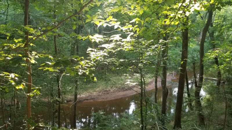 Twelve Mile Creek Greenway - Town Creek Park Trailhead - Waxhaw, NC