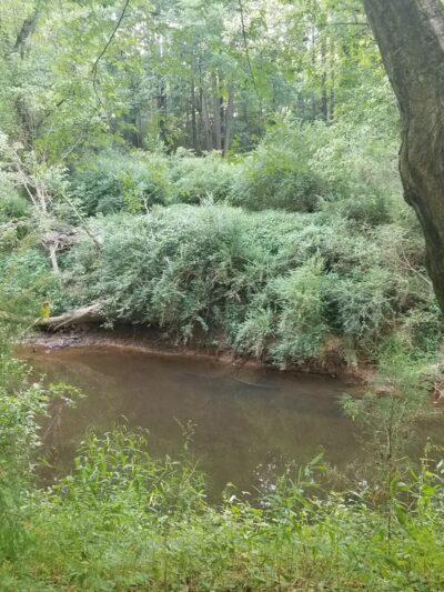 Twelve Mile Creek Greenway - Town Creek Park Trailhead - Waxhaw, NC