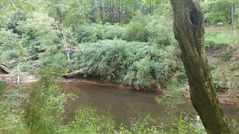 Twelve Mile Creek Greenway - Town Creek Park Trailhead - Waxhaw, NC