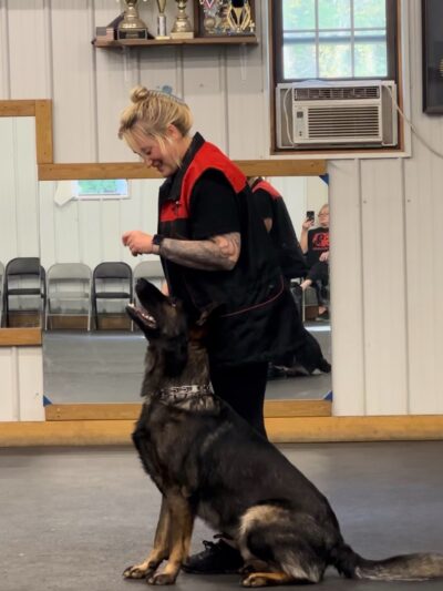 Lather And Leash K9 - Wayland, NY