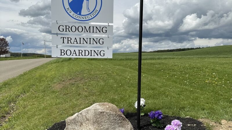 Lather And Leash K9 - Wayland, NY