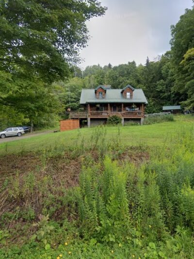 Maple Hollow Spinone - Wayland, NY