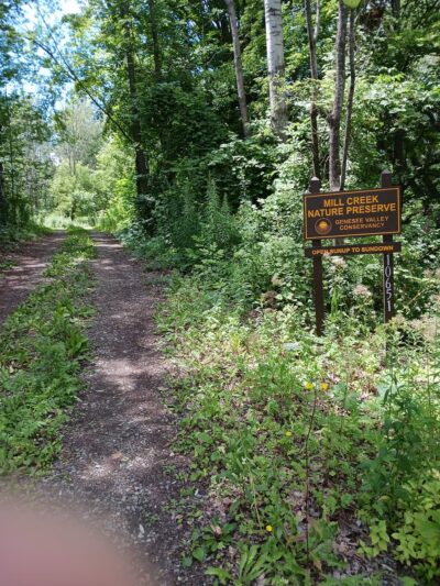Mill Creek Nature Preserve - Wayland, NY