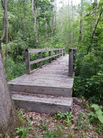 Mill Creek Nature Preserve - Wayland, NY