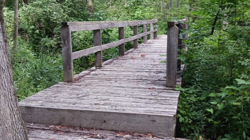 Mill Creek Nature Preserve - Wayland, NY