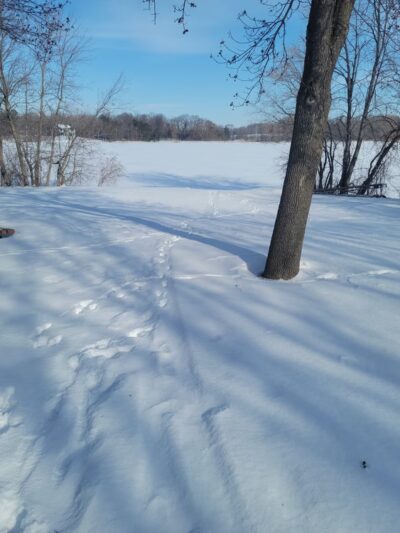 Holy Name Park - Wayzata, MN