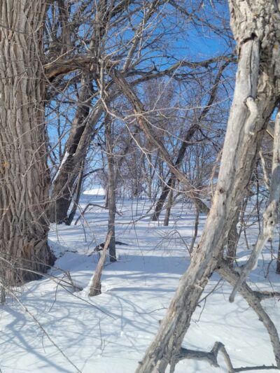 Holy Name Park - Wayzata, MN