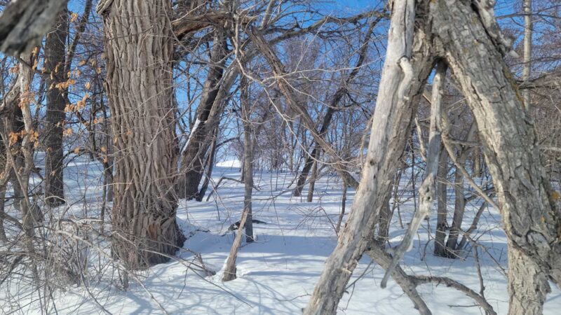 Holy Name Park - Wayzata, MN