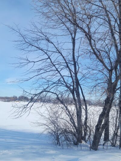 Holy Name Park - Wayzata, MN