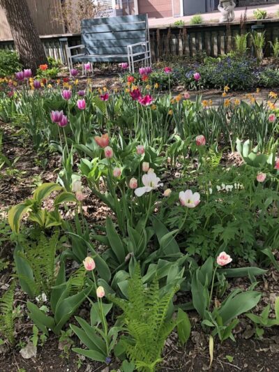 Post Office Pocket Park - Wayzata, MN
