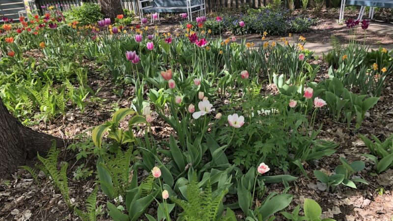 Post Office Pocket Park - Wayzata, MN