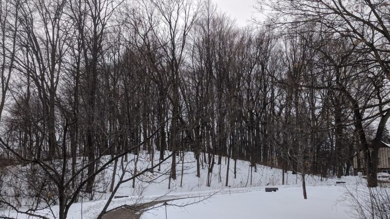 The Big Woods Preserve - Wayzata, MN