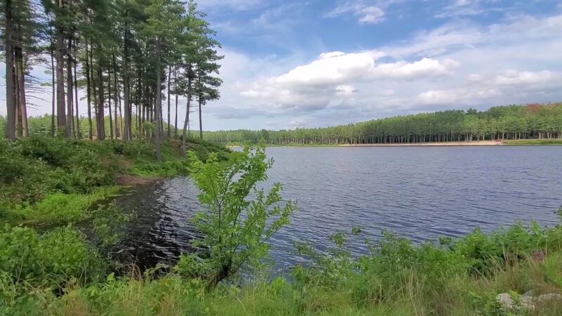 Clough State Park - Weare, NH