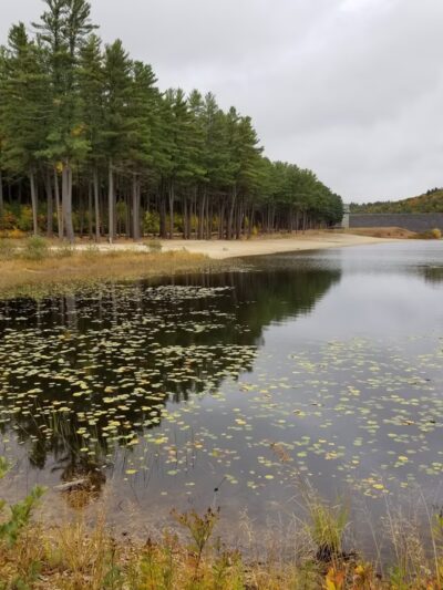 Clough State Park - Weare, NH