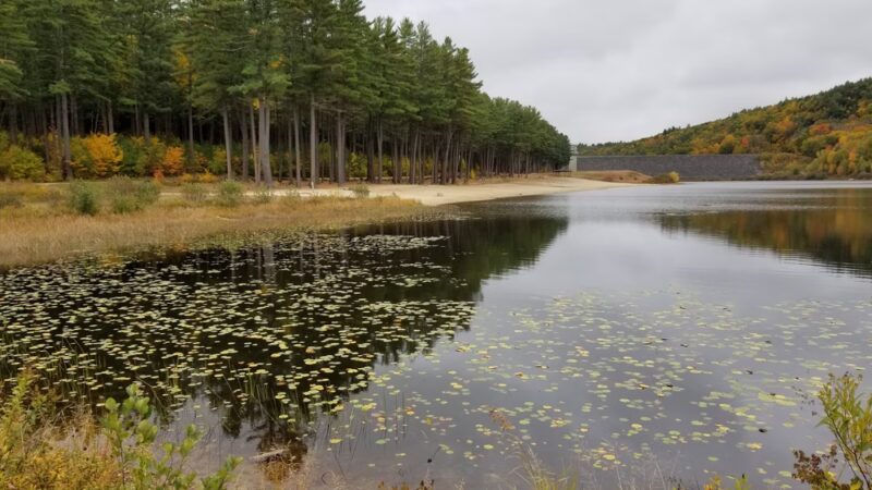 Clough State Park - Weare, NH