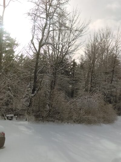 Weare Parks & Recreation Department - Weare, NH