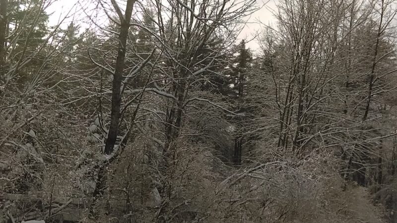 Weare Parks & Recreation Department - Weare, NH