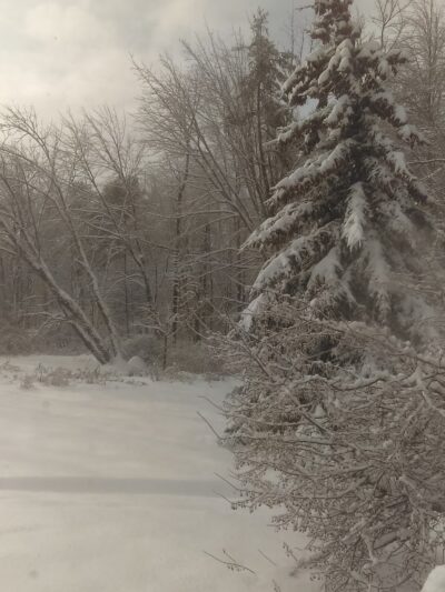 Weare Parks & Recreation Department - Weare, NH