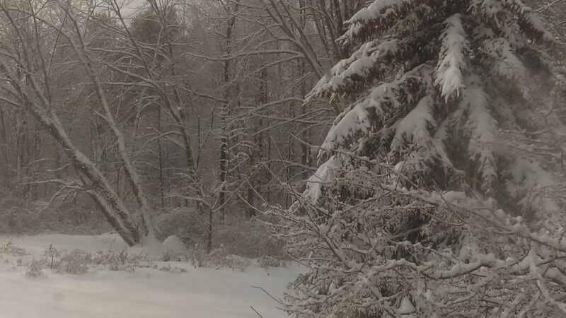 Weare Parks & Recreation Department - Weare, NH