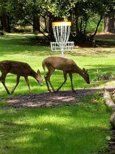 Eurana Park - Weatherly, PA