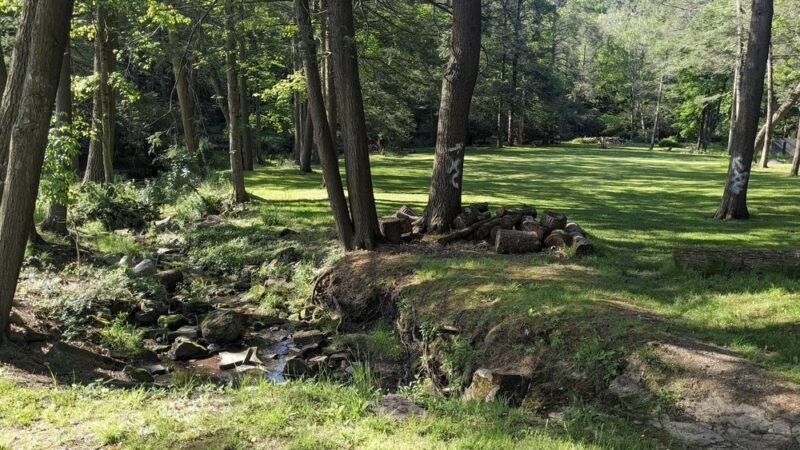 Eurana Park Disc Golf Course - Weatherly, PA