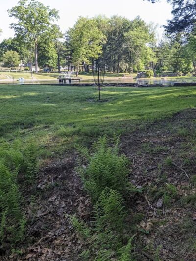 Eurana Park Disc Golf Course - Weatherly, PA