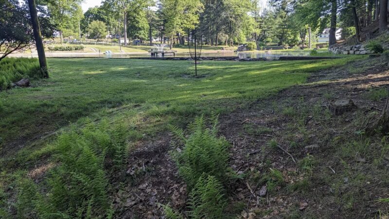 Eurana Park Disc Golf Course - Weatherly, PA