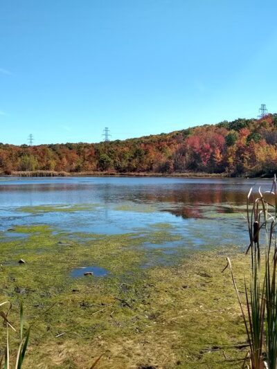 Lake Marie - Weatherly, PA