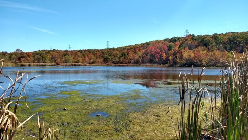 Lake Marie - Weatherly, PA