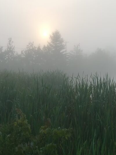 Lake Marie - Weatherly, PA