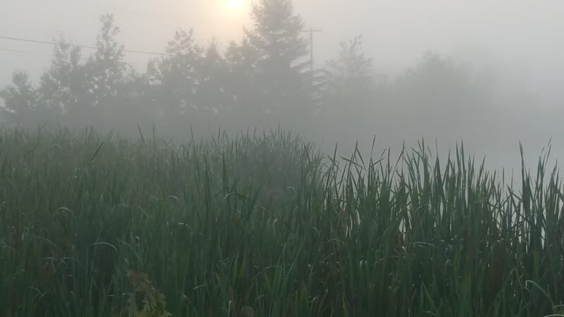 Lake Marie - Weatherly, PA