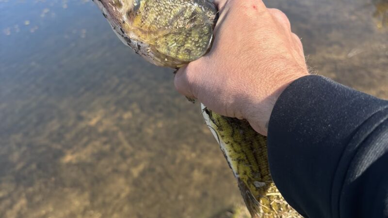 Lake Marie - Weatherly, PA