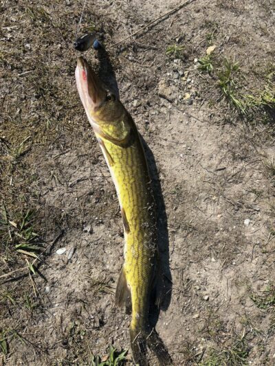 Lake Marie - Weatherly, PA